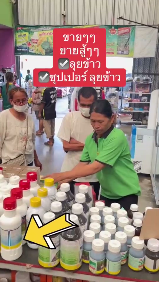 ลุยข้าวและซุปเปอร์ลุยข้าว คุมหญ้าในนา เห็นผลชัด 